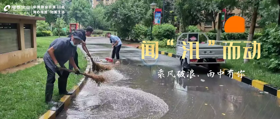 雨中堅守護家園，筑牢汛期安全墻(圖1)