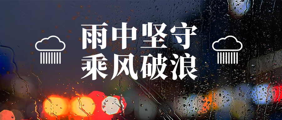 雨中堅守護家園，筑牢汛期安全墻(圖8)