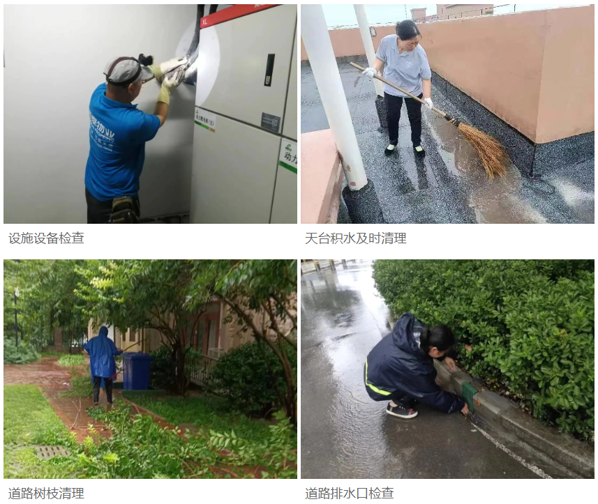 筑牢安全防線 | 隆泰物業(yè)全力開展防汛工作(圖12)